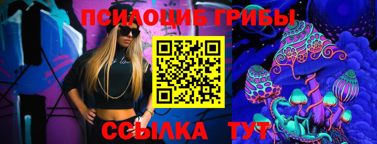 Великие Луки  Галлюциногенные грибы Psilocybe  Вход с VPN 