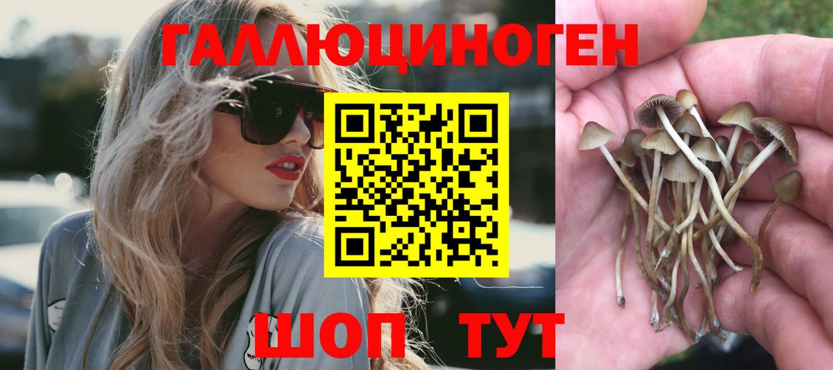Галлюциногенные грибы Magic Shrooms Великие Луки